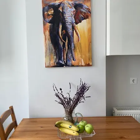 Apartment New Building Lovely Modern Apt With 90mbs Fiber Internet 5min Walking To Bagdat Street Istanbul